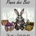 Pinpin des Bois