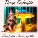 Tisane Enchantée